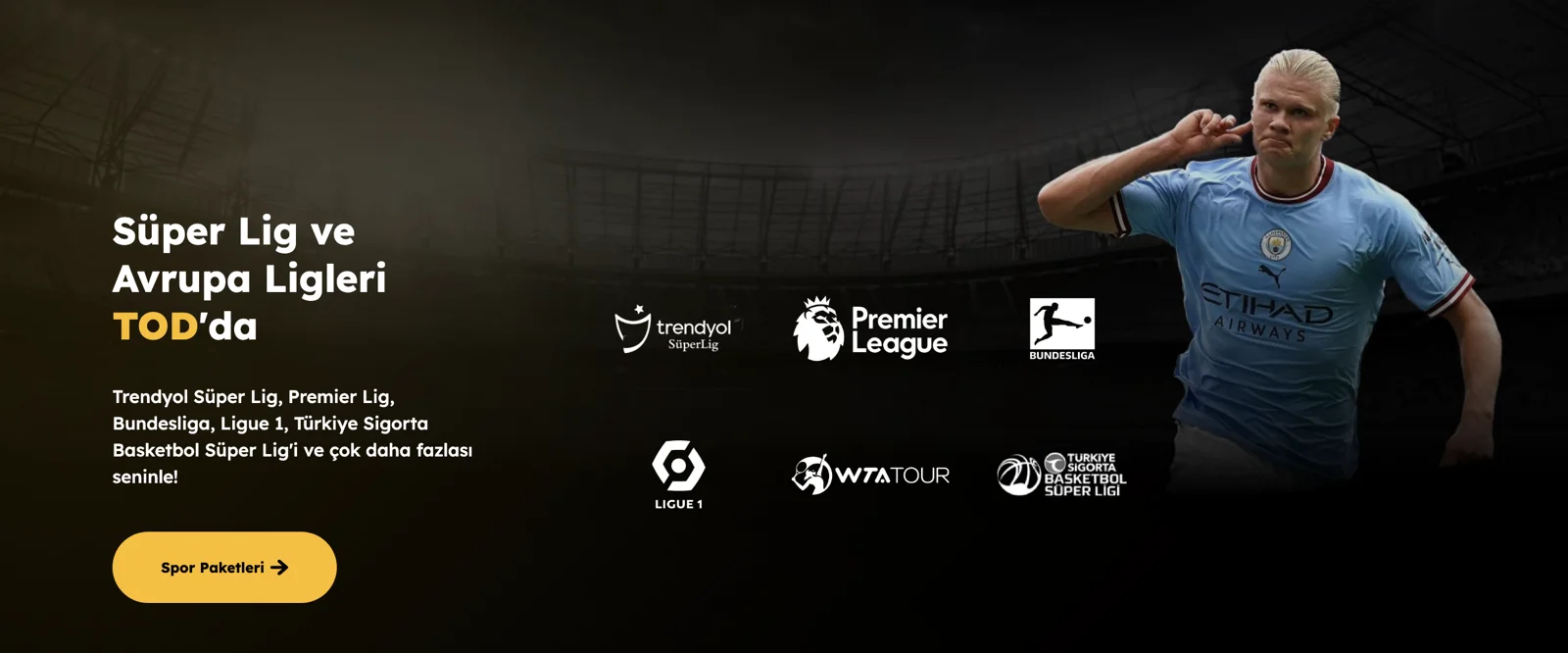Sports leagues you can watch on TOD with a VPN connection.